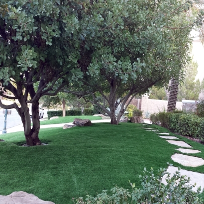 Synthetic Grass Duncanville, Texas Home And Garden, Pavers