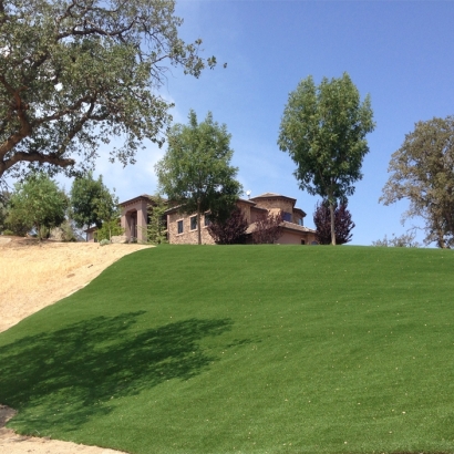 Synthetic Grass El Dorado Hills, California City Landscape, Front Yard Ideas