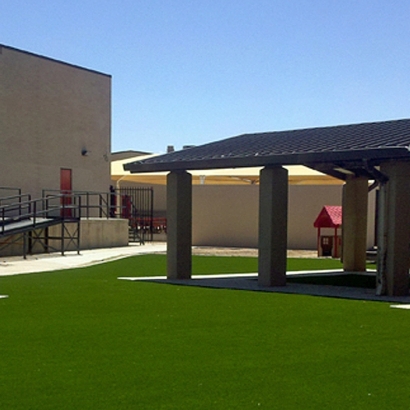 Synthetic Grass Kennesaw, Georgia Roof Top, Commercial Landscape