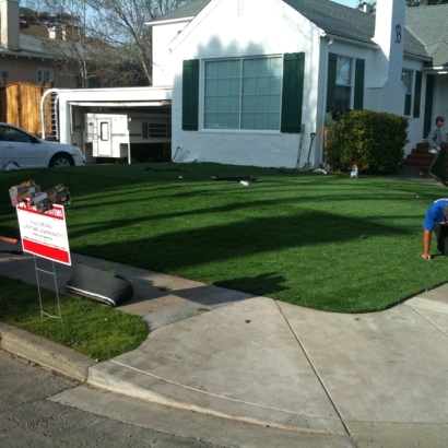 Synthetic Grass North Olmsted, Ohio Landscape Photos, Landscaping Ideas For Front Yard