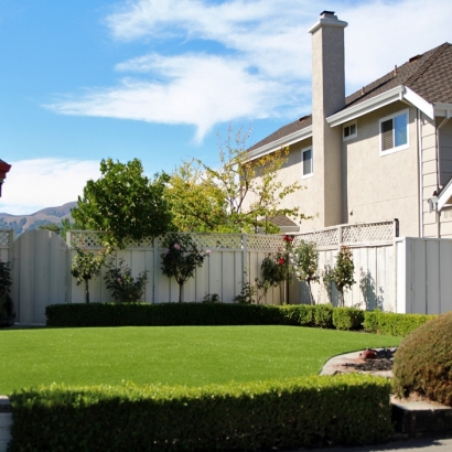 Synthetic Grass Royal Palm Beach, Florida Rooftop, Front Yard Ideas