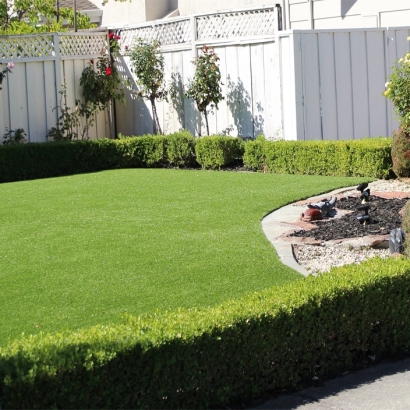 Synthetic Grass Winter Haven, Florida Rooftop, Backyard Designs