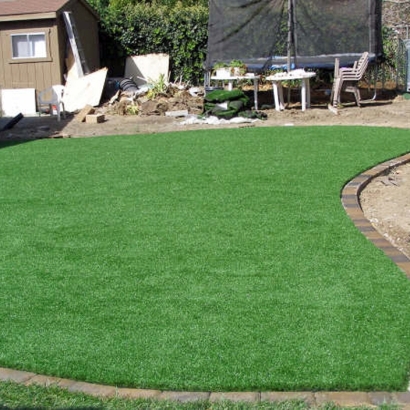 Synthetic Lawn Cleburne, Texas Rooftop, Small Backyard Ideas