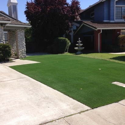 Synthetic Lawn State College, Pennsylvania Landscape Design, Small Front Yard Landscaping