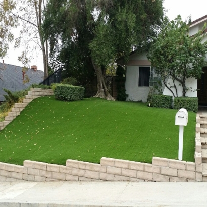 Synthetic Turf Hollister, California Rooftop, Front Yard Landscaping Ideas