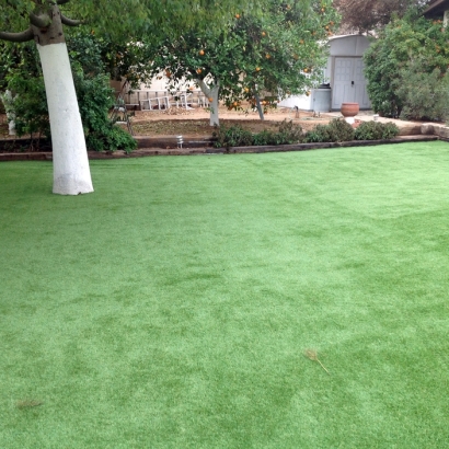 Synthetic Turf Merrillville, Indiana Landscaping Business, Backyard Landscaping