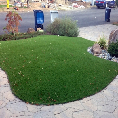 Synthetic Turf North Royalton, Ohio Garden Ideas