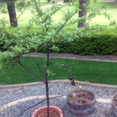 Synthetic Turf Spring Hill, Tennessee Roof Top, Front Yard Design