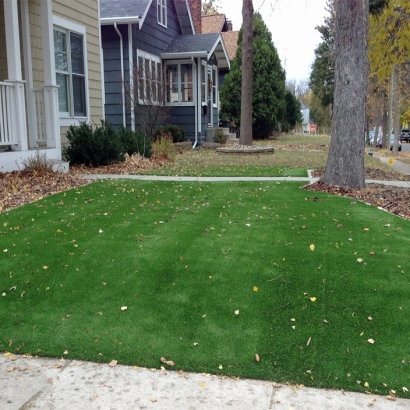 Synthetic Turf Supplier Covington, Kentucky Backyard Playground, Landscaping Ideas For Front Yard