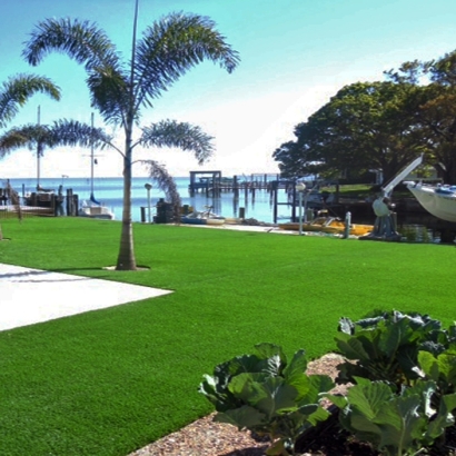 Turf Grass Cutler Bay, Florida Garden Ideas, Backyard Pool