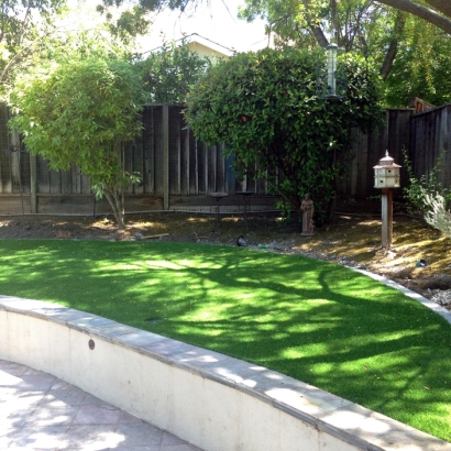 Turf Grass Milton, Georgia Gardeners, Commercial Landscape