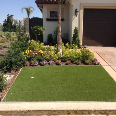 Turf Grass Pacifica, California Backyard Playground, Front Yard Design