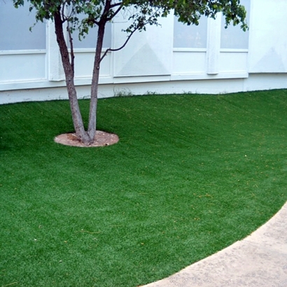 Turf Grass Petersburg, Virginia Landscape Ideas, Commercial Landscape